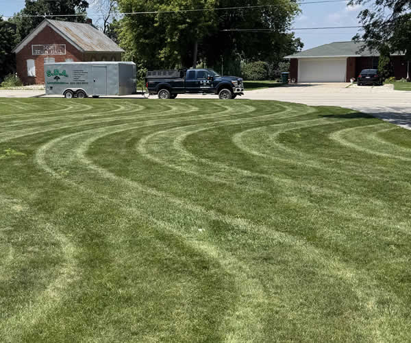Lawn Maintenance - Transform It